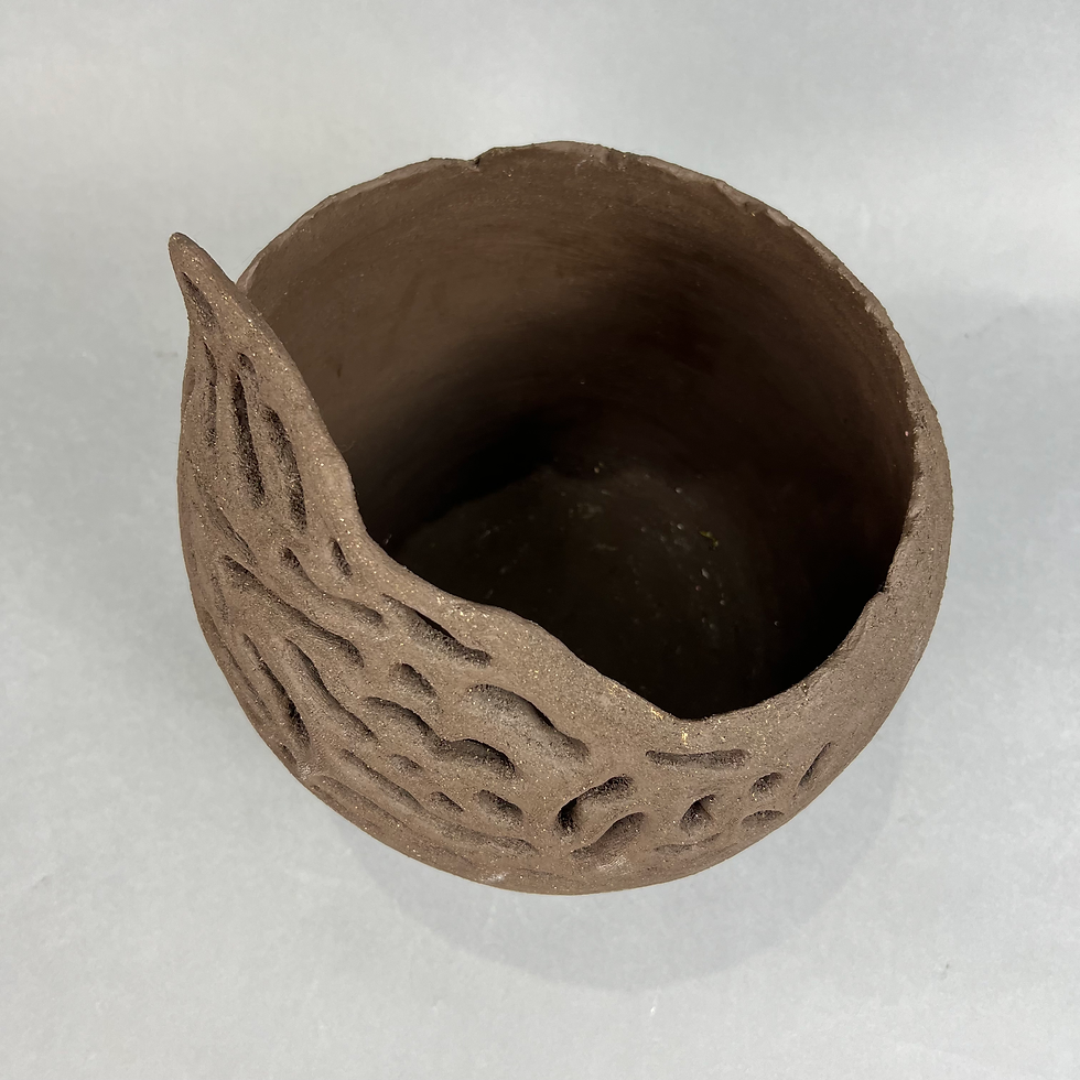 Thumbnail: Termite Pot Holder