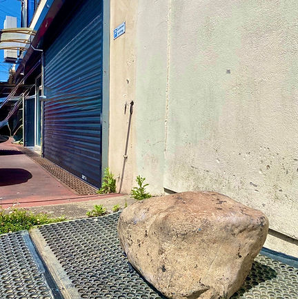 Prince Rock