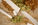 What are the characteristics of a quality rolling paper?