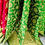 Thumbnail: Banarasi  Katan-Silk Saree