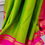 Thumbnail: Soft Semi-Kanchi Silk Saree 