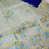 Thumbnail: Soft Printed Organza Saree