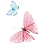 butterflies