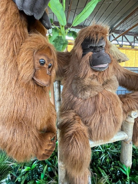 Le livre de la jungle