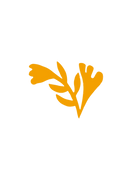 Untitled_Artwork 10_edited.png