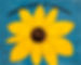 2019 “SEEDS OF HAPPINESS” By The Bug Garden