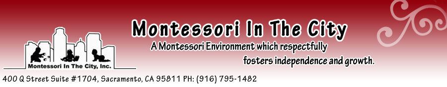 Montessori in the City