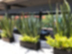 Terraza01