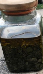 Thumbnail: Anointed Oil