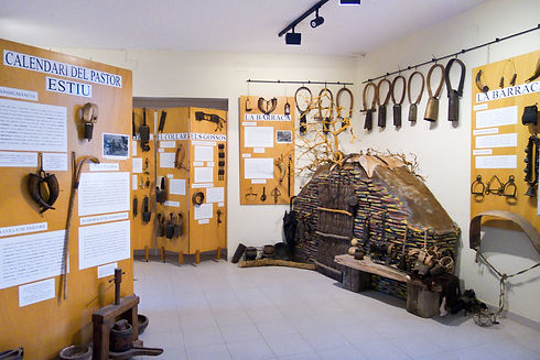 P1120162.jpg