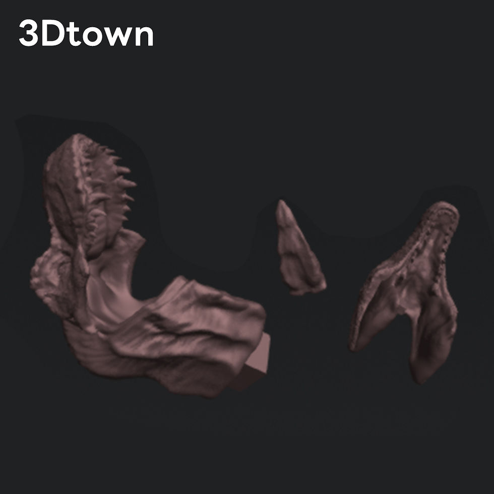 サムネイル： 恐竜３Dフィギュア　3パーツのみ（35％スケール）