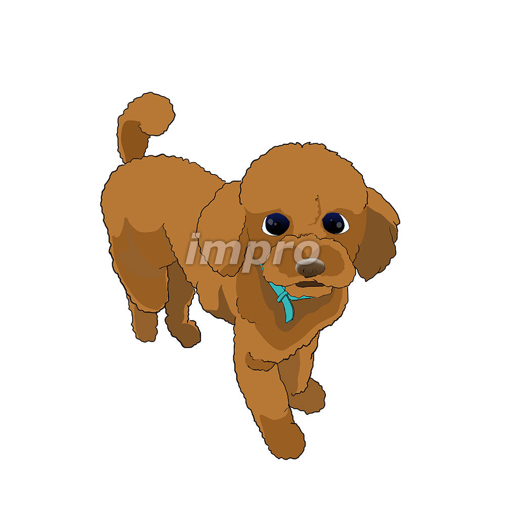 トイ・プードル1　塗り絵ゲーム用