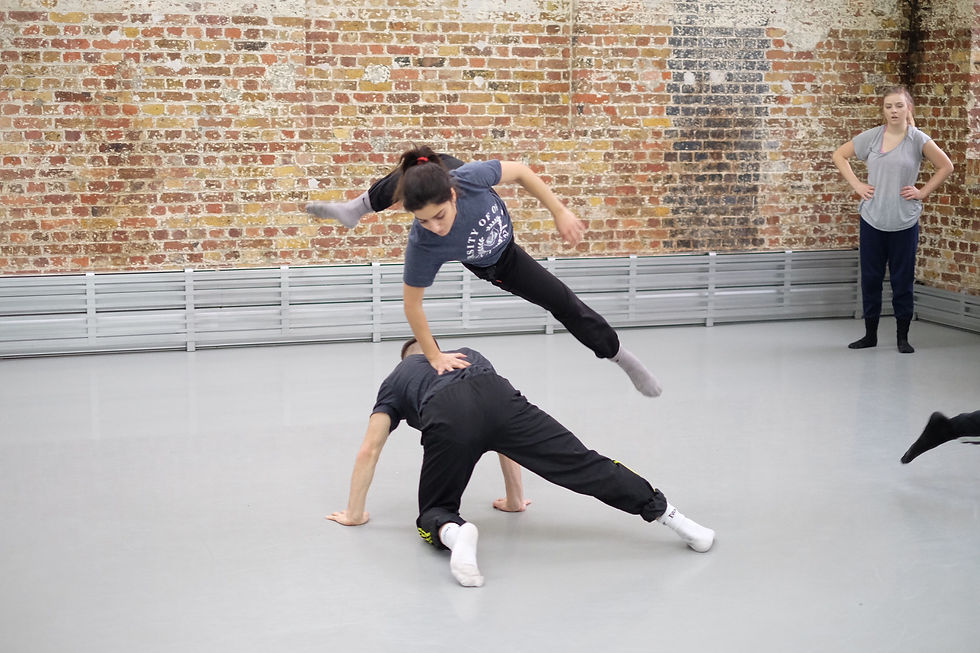 Apply for Dancer's Course 2019/20