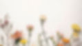 Teaser for JAC news (1).jpg