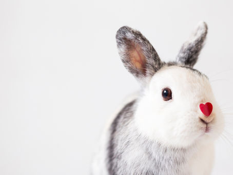 エイプリルフール