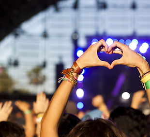 Festival Fun_edited.jpg