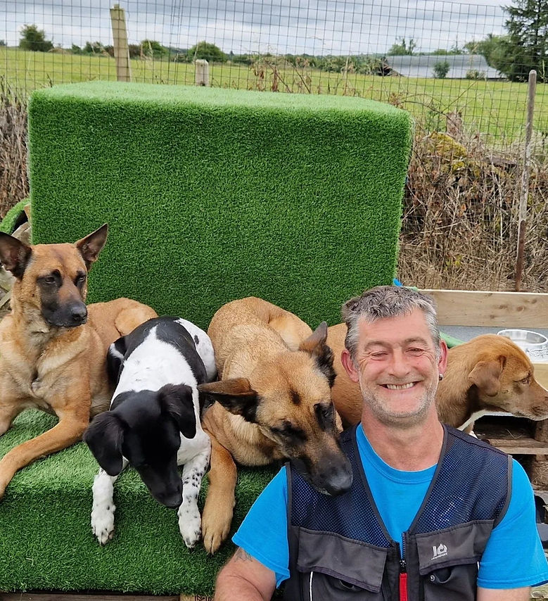 Rescue dog behavioural training Cork