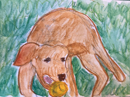 What Dogs Know (a poem)