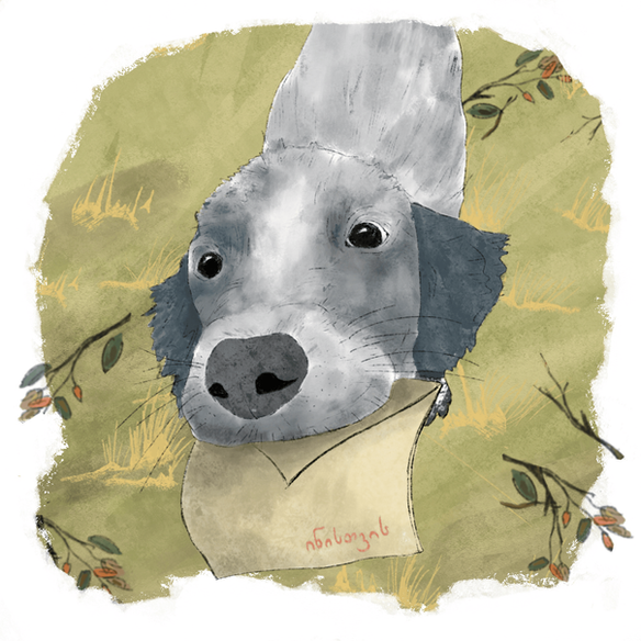 ცუგო (1).png