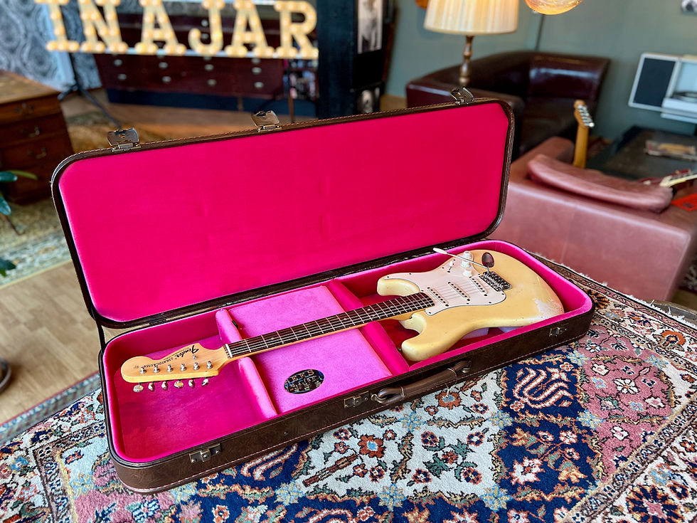 Thumbnail: Bees In A Jar - Vintage Series Guitar Case Type I - Pink