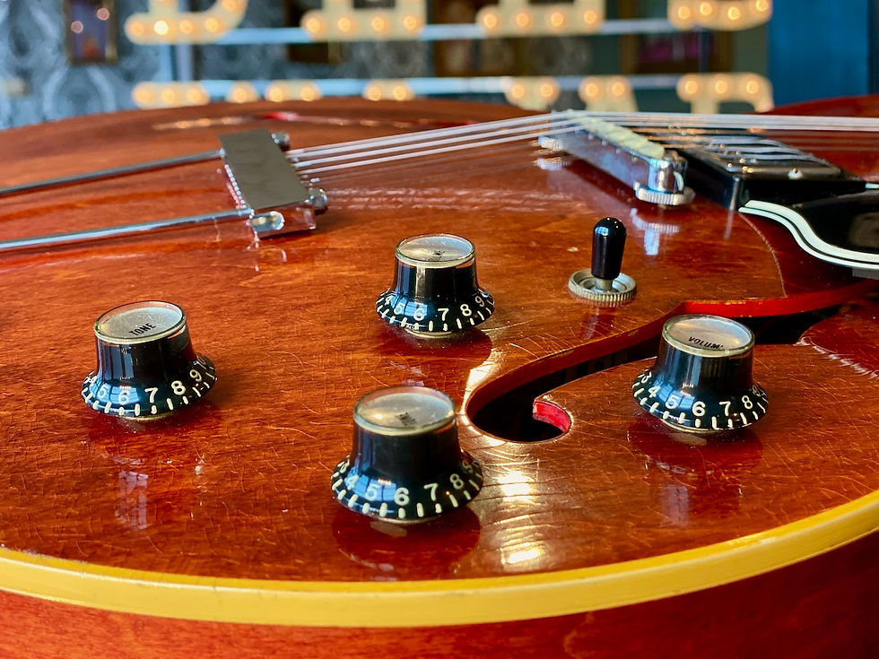 1966 Gibson ES-335 TDC XII 12-string Faded Cherry | Bees In