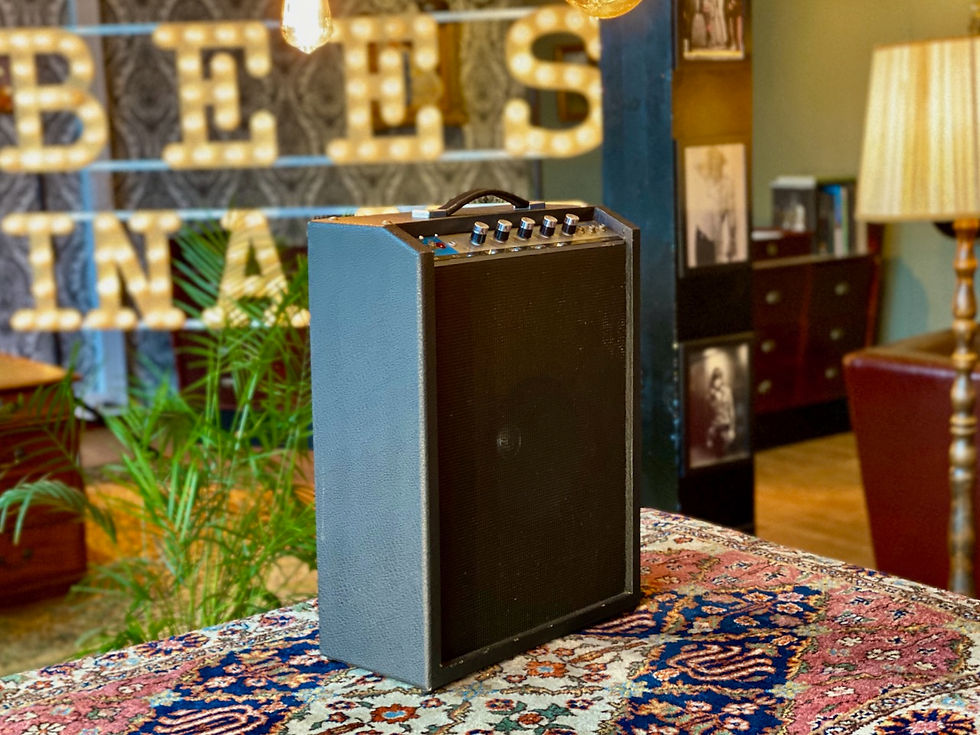 Thumbnail: SOLD! - 1970’s National GA-99TR combo Tremolo + Reverb