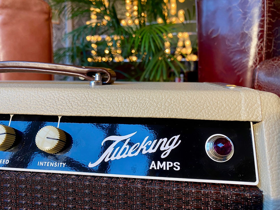 Thumbnail: SOLD! - 2020 Tubeking Princeton Reverb Tremolo Blonde - handbuilt