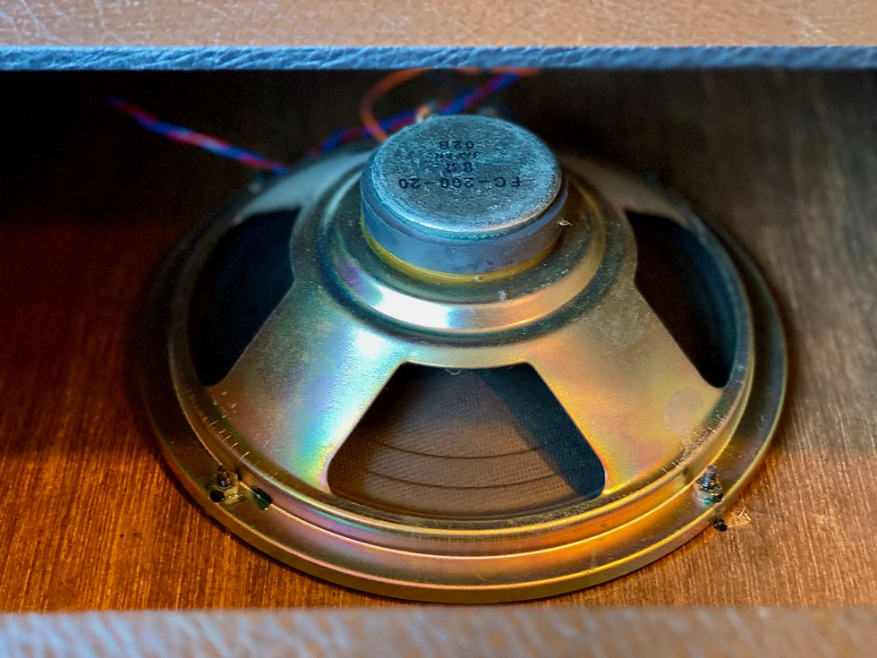 Thumbnail: SOLD! - 1970’s National GA-99TR combo Tremolo + Reverb