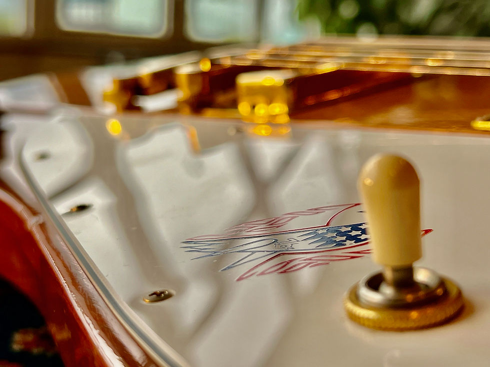 Thumbnail: SOLD! - 1976 Gibson Firebird Bicentennial Natural "first run"