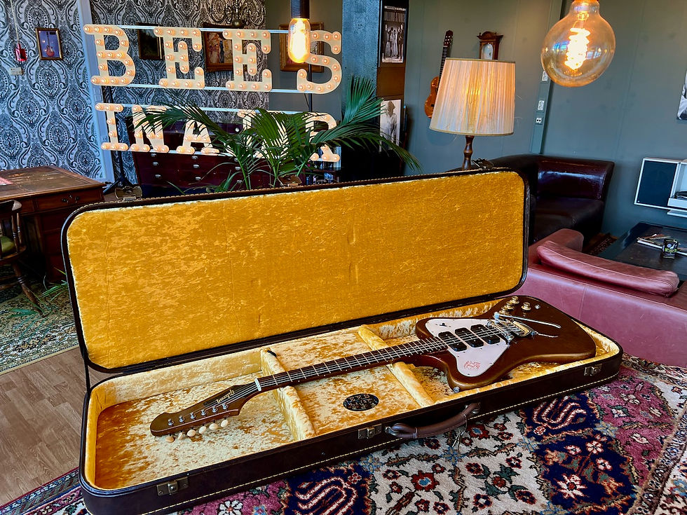 Thumbnail: Bees In A Jar Vintage Series Guitar Case Type III Gold - Firebird / Bass
