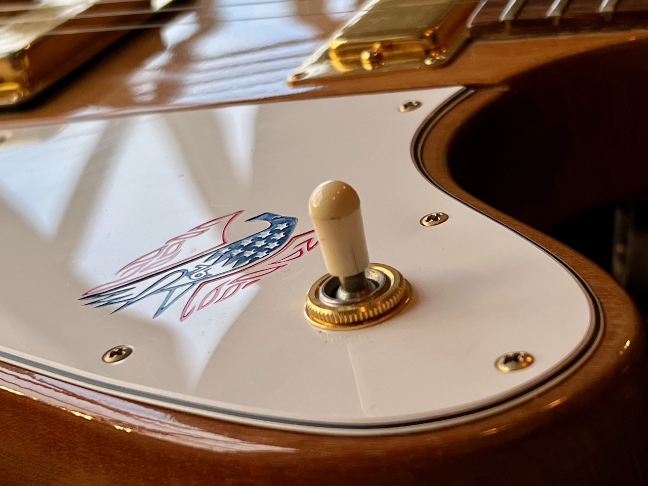1976 Gibson Firebird Bicentennial Natural "first run" - Thumbnail 5