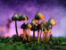 California Initiative Would Legalize Magic Mushrooms