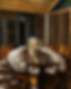 enoteca 3 .png