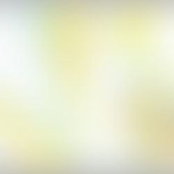 An Overview of Marine Ecology in Ras Issa Peninsula, Yemen.
