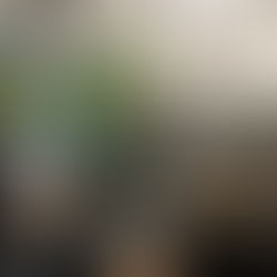 3x 5 Sterne, Baustelle & Gewerbepolizei