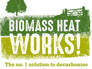 Biomass leaders call for change #BiomassHeatWorks