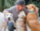 Man with dogs