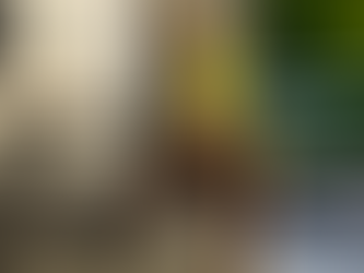 Lucky Mark – Version 0.11 – Update