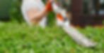 Landscape gardener 1