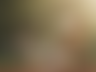 Quanto custa a manutenção de um playground de madeira? Valores, frequência e dicas de economia