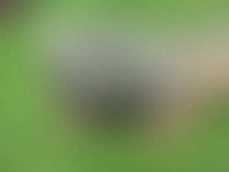 Ecuador - Guayaquil - Puerto Lopez - Canoa