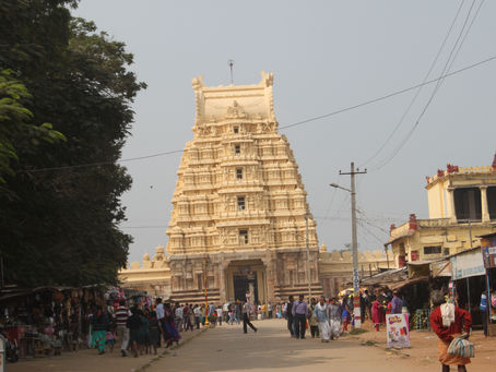 India - Srirangapattana and Mysore with bed bugs