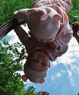 Duck Photos (12).jpg