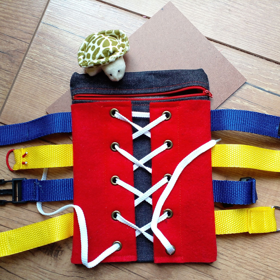 Thumbnail: Everyday Fine Motor Skills Board