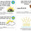 Thumbnail: Easter Week Bible Reading Cards