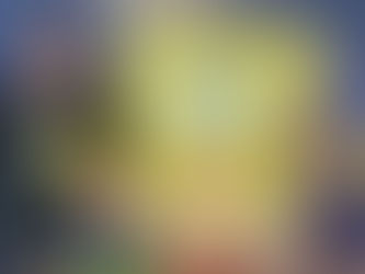 Assignment: Brake Repair For a Single Dad