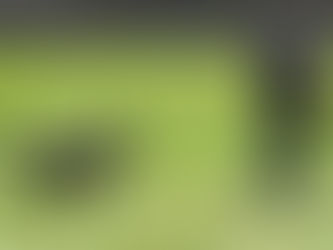 Congratulations, K9-2!