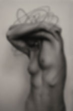 Dissimulation