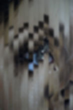 The Killing Of Truth (crop2)
