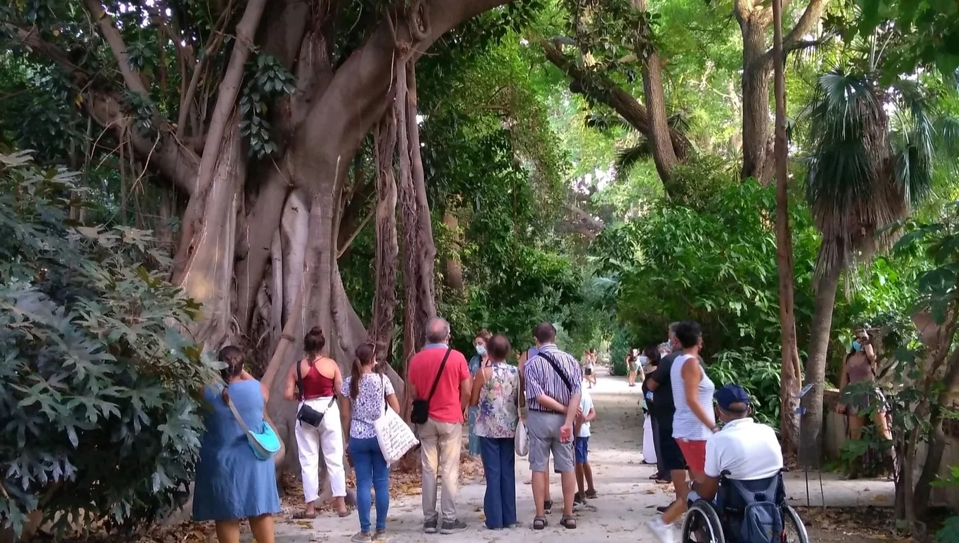 Gruppo di partecipanti ad una visita guidata all'Orto botanico, organizzata da TACUS, intenti ad ascoltare la spiegazione